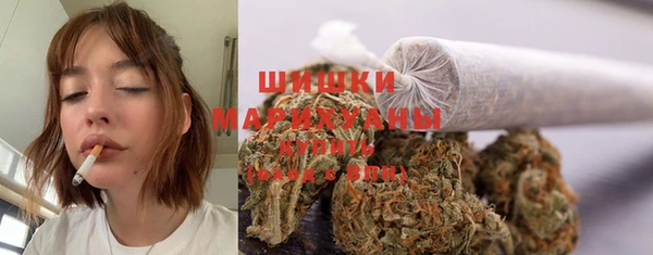 амф Арсеньев