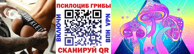 Галлюциногенные грибы Psilocybine cubensis  Нея 